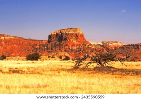 Strange Ghost Ranch New Mexico