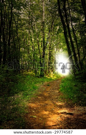 Hikers in the autumn forest