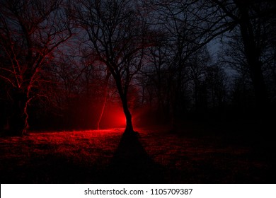 strange light in a dark forest at night. Silhouette of person standing in the dark forest with light. Dark night in forest at fog time. Surreal night forest scene. Horror halloween concept. Fairytale