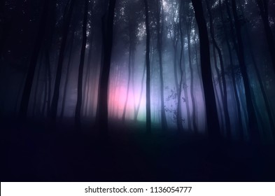 Strange Light In Paranormal Forest Landscape At Night