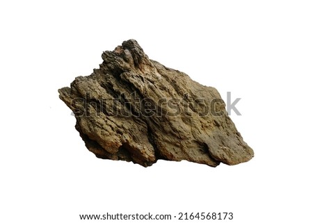 Strange sandstone coastal rock for outdoor garden decoration. Cut out reef stone isolated on white background.