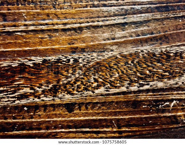 Strange Wood Texture Background Stock Photo 1075758605 | Shutterstock