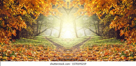 Fairy Mysterious Forest Mystical Atmosphere Paranormal Stock Photo ...