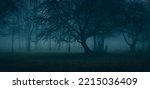 Strangers park. Mysterious fairy forest. Dark fantasy wallpaper. Stranger trees in the mist. Scary atmosphere. Paranormal another world. Mystical forest in a fog. Dark scary park with leaves.