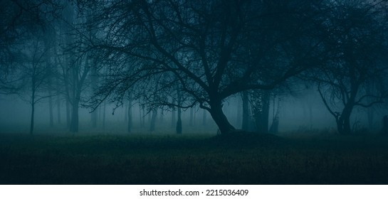 Strangers park. Mysterious fairy forest. Dark fantasy wallpaper. Stranger trees in the mist. Scary atmosphere. Paranormal another world. Mystical forest in a fog. Dark scary park with leaves. - Powered by Shutterstock