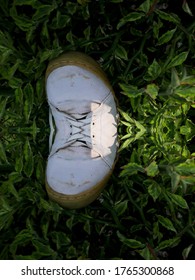 Strappy Shoes On Green Grass