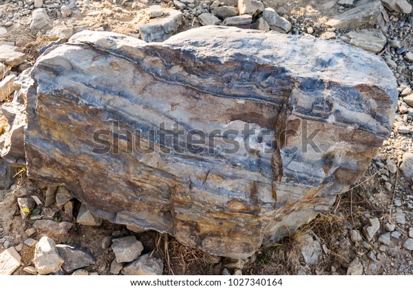 Strata of foliated homogeneous metamorphic\
rock derived from sedimentary rock.They  form from tectonic\
processes as continental collisions, which cause horizontal\
pressure, friction &\
distortion.