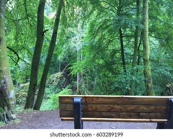 strategically placed bench