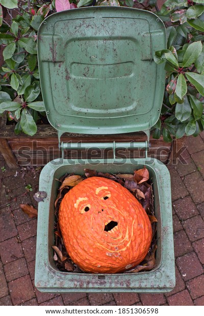 Stratford upon Avon, Warwickshire / UK - November 7\
2020: Pumpkin carved as Donald Trump, thrown away in the compost by\
an overseas voter once the US election results projected Trump had\
lost to Biden