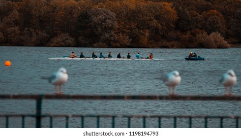 Strathclyde Country Park, Hamilton, Scotland