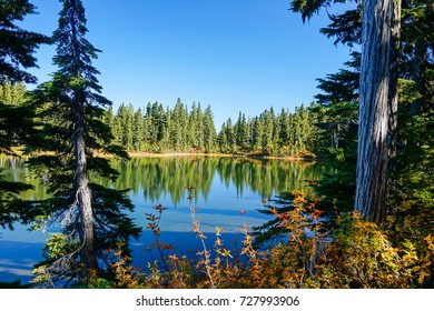 Strathcona Provincial Park: Forbidden Plateau ~ Paradise Meadows ~ Battleship Lake