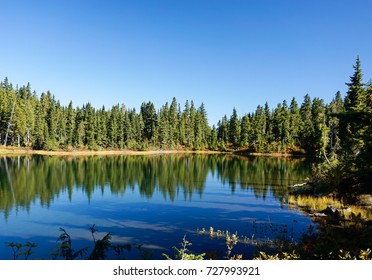 Strathcona Provincial Park: Forbidden Plateau ~ Paradise Meadows ~ Battleship Lake