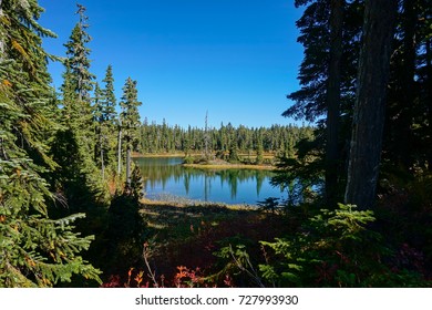 Strathcona Provincial Park: Forbidden Plateau ~ Paradise Meadows ~ Battleship Lake