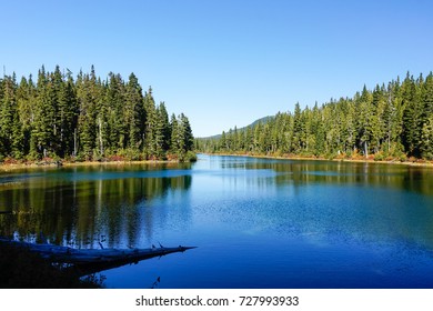 Strathcona Provincial Park: Forbidden Plateau ~ Paradise Meadows ~ Battleship Lake