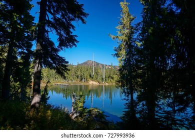 Strathcona Provincial Park: Forbidden Plateau ~ Paradise Meadows ~ Battleship Lake