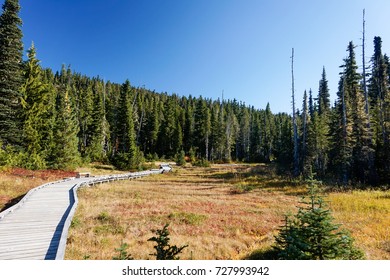 Strathcona Provincial Park Trailhead: Forbidden Plateau ~ Paradise Meadows 