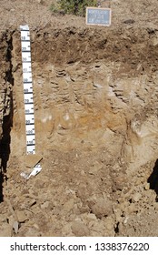 Stratigraphic Profile Of A Soil