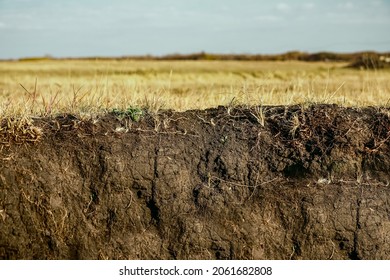 Stratigraphic section of soil with layers and grass roots. Russia. underground soil layer of cross section earth, erosion ground with plants on top. Plants, soil, karst - Shutterstock ID 2061682808