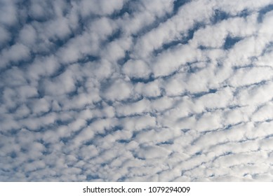 Stratocumulus Clouds Overhead Against A Blue Sky