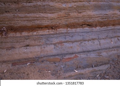 The Stratum Layers