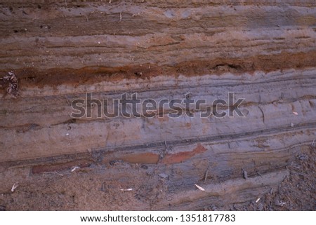 The stratum layers