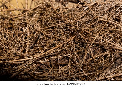 Straw After Removing The Grain And Chaff
