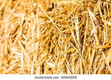 Straw Background