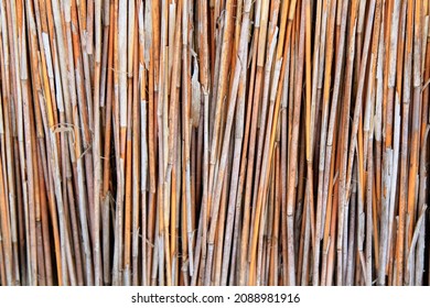 Straw background, dry grass texture. Selective focus. High quality photo