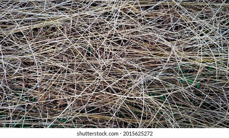 Straw background natural and antural, dry straw, straw hat, indonesia