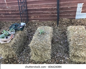 Straw Bale Garden High Res Stock Images Shutterstock
