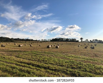 Straw Bale Garden In Belfast