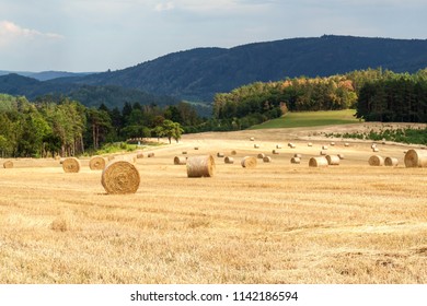 Straw bales in field at the forest. Summer day at the farm in the Czech Republic. Harvest corn. Scenery Moravian Highlands
