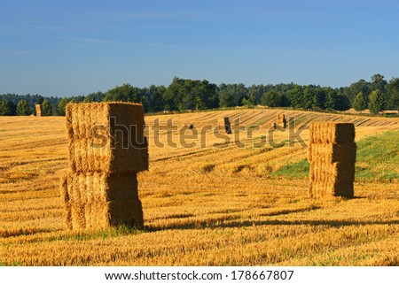 Straw Bales in Field Stubble Landscape