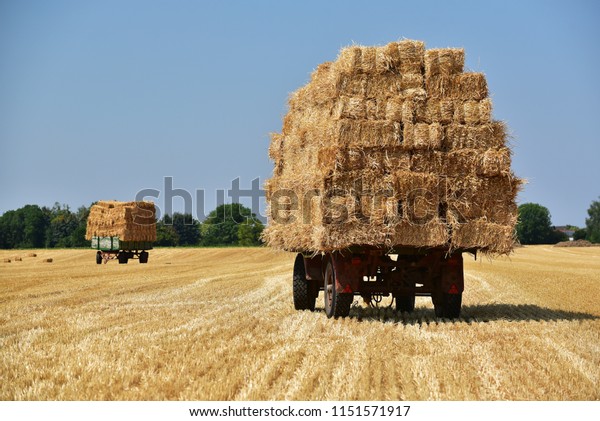 Straw bales on trailers in a field of North\
Rhine-Westphalia, Germany
