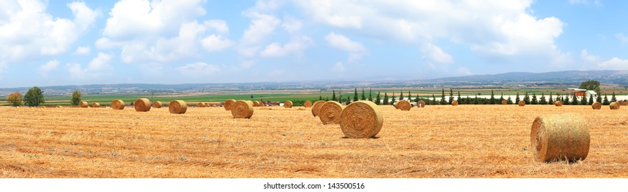 Straw bales pastoral countryside. Panoramic view. Israel