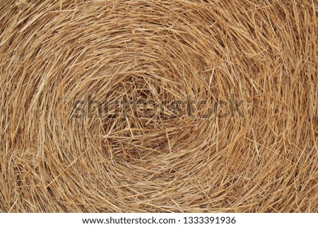 Similar – Image, Stock Photo #S# Straw spiral Nature