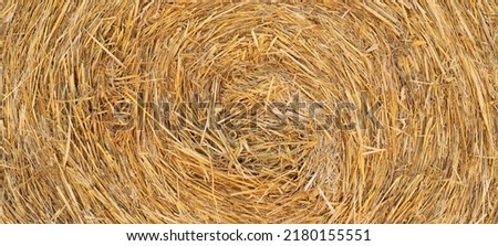 Similar – Image, Stock Photo #S# Straw spiral Nature