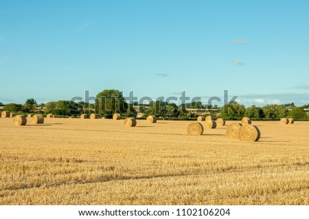 Similar – yellow straw bales on field