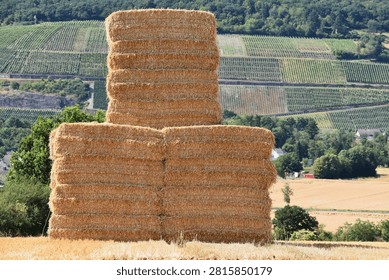 Straw bales
Towering stacks of rectangular straw bales rise above golden stubble, with vineyards covering the sunlit hills beyond.