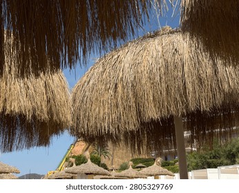 Straw beach umbrellas create a rustic texture and natural shade on a sunny day at a tropical beach resort, offering comfort and relaxation under a clear blue sky during summer vacation