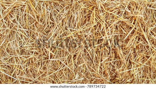 straw, dry straw texture background, vintage\
style for design.