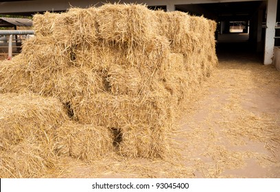 Straw Farm Cow Stock Photo (Edit Now) 93045400