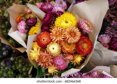 Straw Flower Or Everlasting Flowers Wrapped With Brown Paper                               