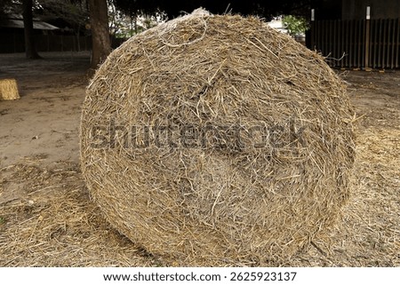  straw · halm · haulm · stack · rice straw 