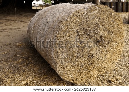  straw · halm · haulm · stack · rice straw 