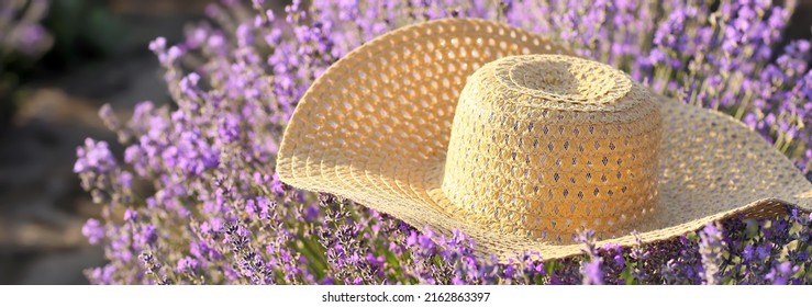 Straw Hat In Beautiful Lavender Field On Summer Day