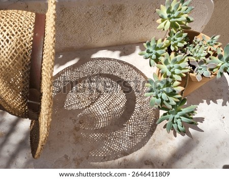 Straw hat casting an intricate shadow pattern on a stone surface beside a vibrant succulent plant. Evoking summer relaxation and Mediterranean charm.