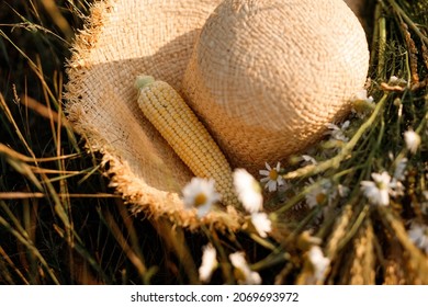 Straw Hat Lying On The Ground With Corn And A Bouquet Of Daisies