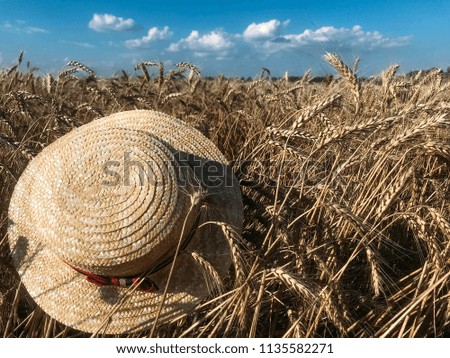 the Straw Hat in a wheat field in the Sun