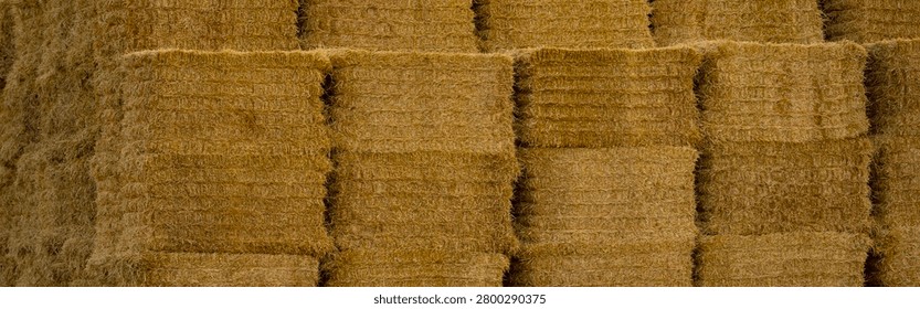 Straw hay background, haystack with straw bale.